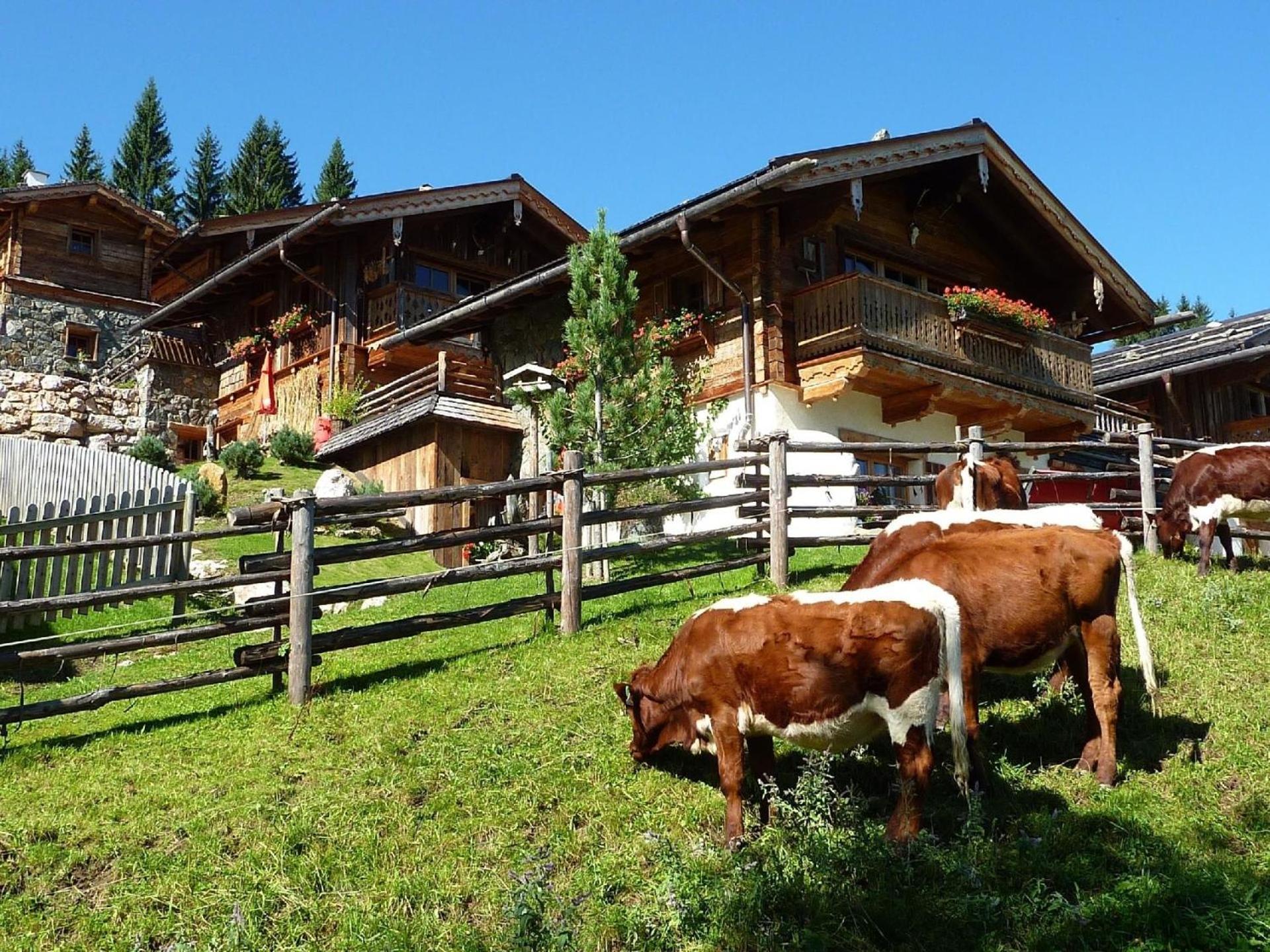 הוילה Ferienhaus Im Almdorf In פלאכאו מראה חיצוני תמונה